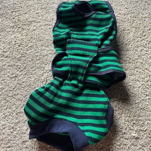 Dog recovery, surgery suit. Body suit.